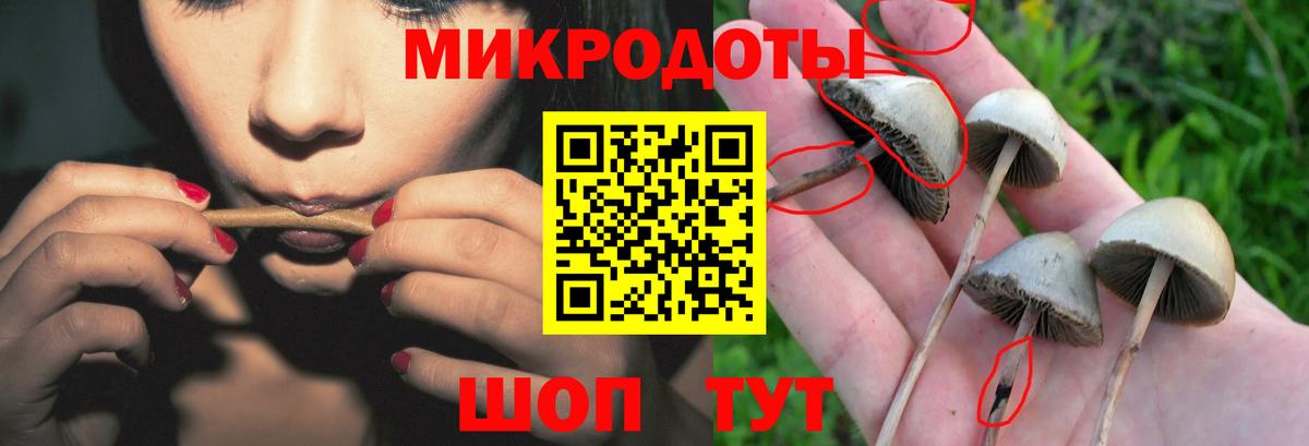 Рыбинск  Псилоцибиновые грибы мицелий  Вход с VPN 
